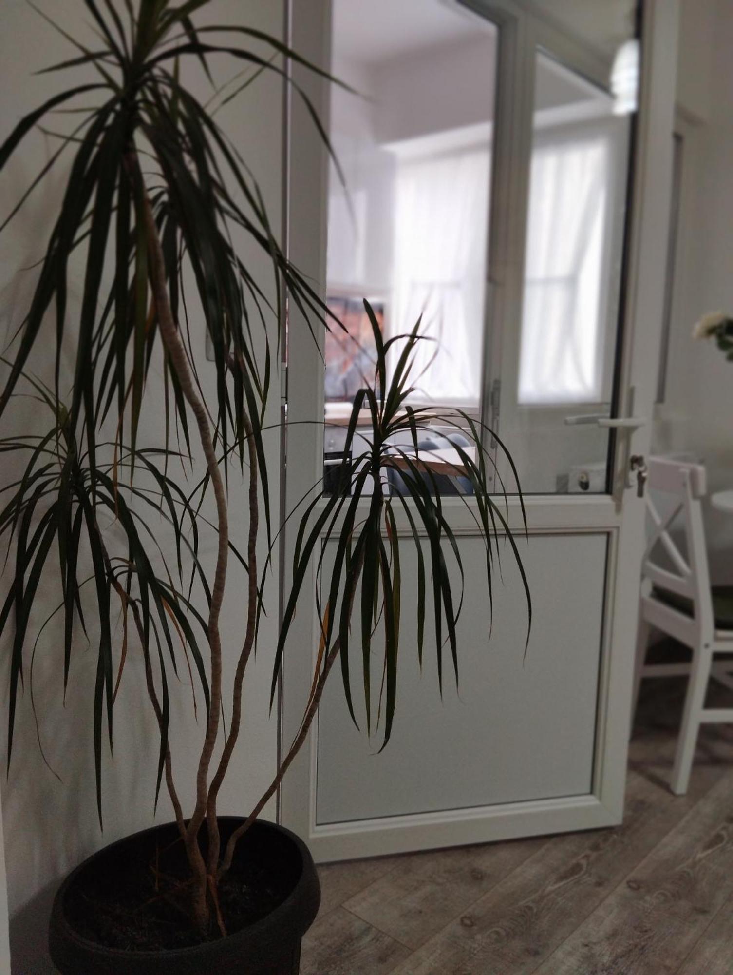 Amber Studio Craiova Ngoại thất bức ảnh